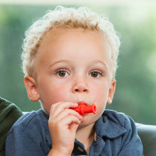 Load image into Gallery viewer, Sensory Dipper® - Qty 1 Total Products